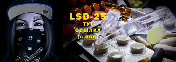 PSILOCYBIN Зеленодольск