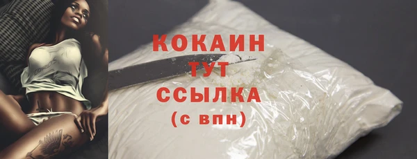 PSILOCYBIN Зеленодольск