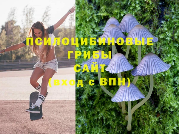 мяу мяу мука Зерноград