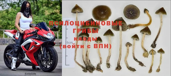 мяу мяу мука Зерноград
