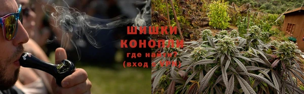 СК Гвардейск